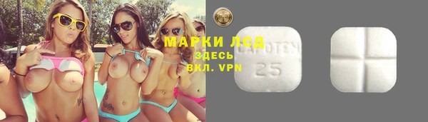 гидропоника Михайловка